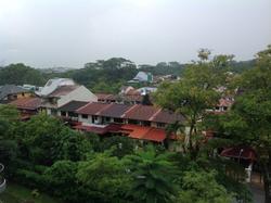 Meadows @ Peirce (D26), Condominium #65028912